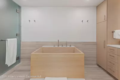 800 E Hopkins Avenue #B5, Aspen, CO 81611 - Photo 19