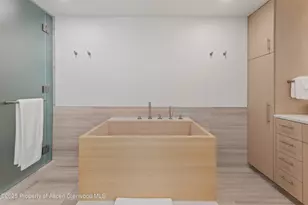 800 E Hopkins Ave, Aspen, CO 81611 - Photo 19