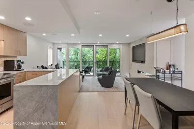 800 E Hopkins Avenue #B5, Aspen, CO 81611 - Photo 9