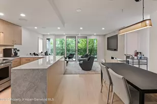 800 E Hopkins Ave, Aspen, CO 81611 - Photo 9