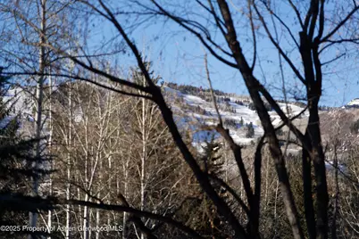 1395 Sierra Vista Drive #Unit 1, Aspen, CO 81611 - Photo 27