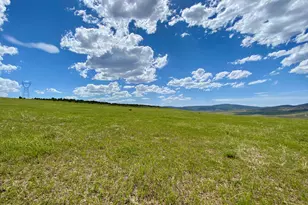 Tbd County Road 15, Meeker, CO 81641 - Photo 47