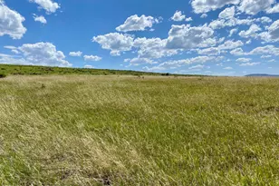 Tbd County Road 15, Meeker, CO 81641 - Photo 51