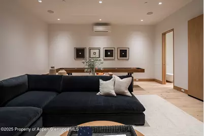 227 E Main Street, Aspen, CO 81611 - Photo 31