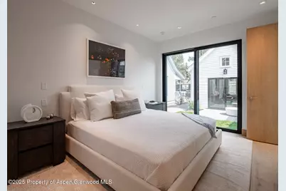 227 E Main Street, Aspen, CO 81611 - Photo 25