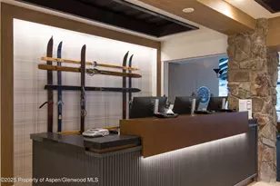 300 Carriage Way, Snowmass Village, CO 81615 - Photo 9