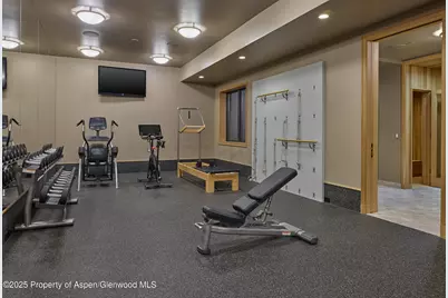 864 Moore Drive, Aspen, CO 81611 - Photo 23