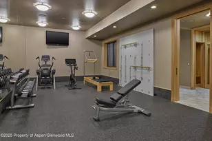 864 Moore Dr, Aspen, CO 81611 - Photo 23