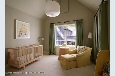 864 Moore Drive, Aspen, CO 81611 - Photo 17