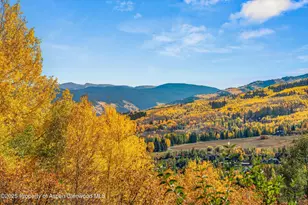 100 Terrace Ln, Snowmass Village, CO 81615 - Photo 13