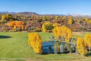 3333 Snowmass Creek Rd, Snowmass, CO 81654 - Photo 41