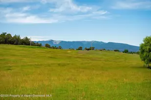 1563 Co Rd 326, Silt, CO 81652 - Photo 21