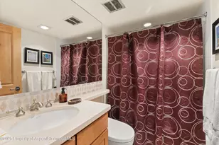 124 W Hyman Ave, Aspen, CO 81611 - Photo 17