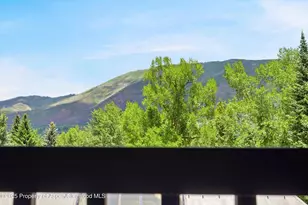 124 W Hyman Ave, Aspen, CO 81611 - Photo 9