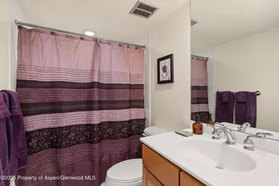 124 W Hyman Avenue #3B, Aspen, CO 81611 - Photo 21