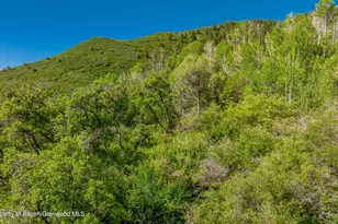 Tbd Co Rd 126, Glenwood Springs, CO 81601 - Photo 9
