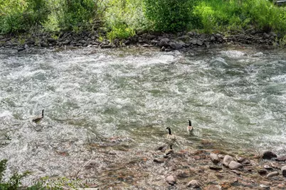 135 Irwin Drive, Redstone, CO 81623 - Photo 39