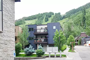 100 E Dean St, Aspen, CO 81611 - Photo 13