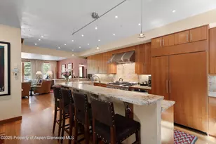 714 S Galena St, Aspen, CO 81611 - Photo 7