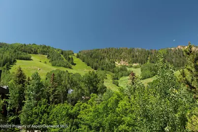 714 S Galena Street #B, Aspen, CO 81611 - Photo 25