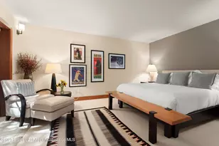 714 S Galena St, Aspen, CO 81611 - Photo 27