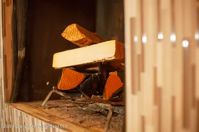 1039 E Cooper Avenue #16A, Aspen, CO 81611 - Photo 11