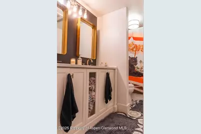 1039 E Cooper Avenue #16A, Aspen, CO 81611 - Photo 23