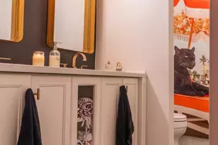 1039 E Cooper Ave, Aspen, CO 81611 - Photo 23