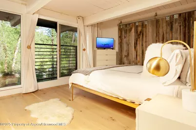 1039 E Cooper Avenue #16A, Aspen, CO 81611 - Photo 13