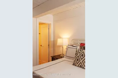 1039 E Cooper Avenue #16A, Aspen, CO 81611 - Photo 17