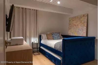 1039 E Cooper Avenue #16A, Aspen, CO 81611 - Photo 21