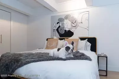 1039 E Cooper Avenue #16A, Aspen, CO 81611 - Photo 19