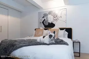 1039 E Cooper Ave, Aspen, CO 81611 - Photo 19