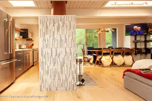 1039 E Cooper Ave, Aspen, CO 81611 - Photo 3