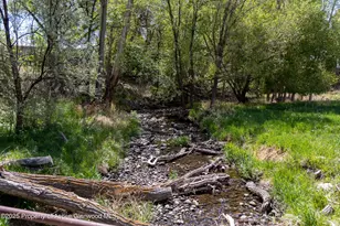 12053 Hwy 65, Eckert, CO 81418 - Photo 21