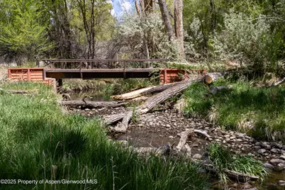 12053 Highway 65, Eckert, CO 81418 - Photo 23