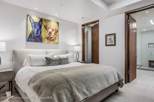 130 Primrose Path, Aspen, CO 81611 - Photo 49