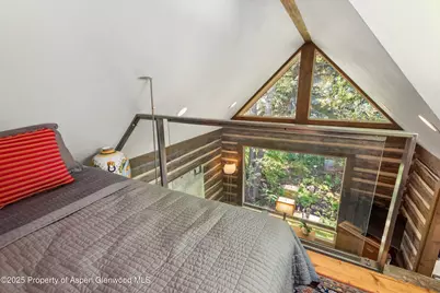 117 Neale Avenue, Aspen, CO 81611 - Photo 11