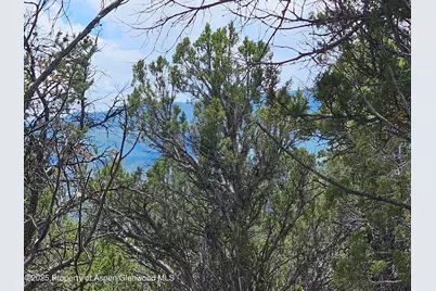 3221 Elk Springs Drive, Glenwood Springs, CO 81601 - Photo 5
