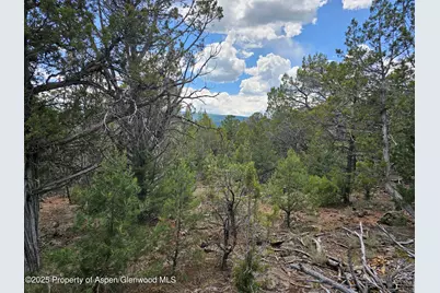 3221 Elk Springs Drive, Glenwood Springs, CO 81601 - Photo 3