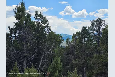 3221 Elk Springs Drive, Glenwood Springs, CO 81601 - Photo 9
