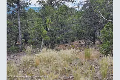 3221 Elk Springs Drive, Glenwood Springs, CO 81601 - Photo 7