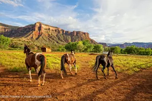 40275 Hwy 141, Gateway, CO 81522 - Photo 75