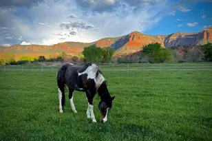 40275 Hwy 141, Gateway, CO 81522 - Photo 43