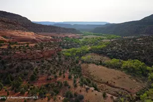 40275 Hwy 141, Gateway, CO 81522 - Photo 51