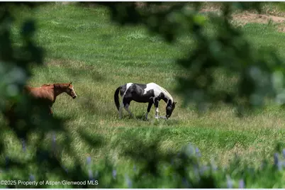 623 Johnson Drive, Aspen, CO 81611 - Photo 13