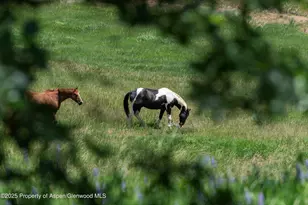623 Johnson Dr, Aspen, CO 81611 - Photo 13