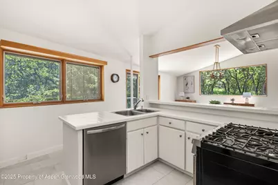 623 Johnson Drive, Aspen, CO 81611 - Photo 11