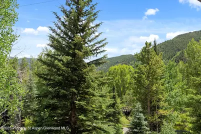 42703 Hwy 82 #Unit B, Aspen, CO 81611 - Photo 31