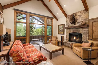 42703 Hwy 82 #Unit B, Aspen, CO 81611 - Photo 9
